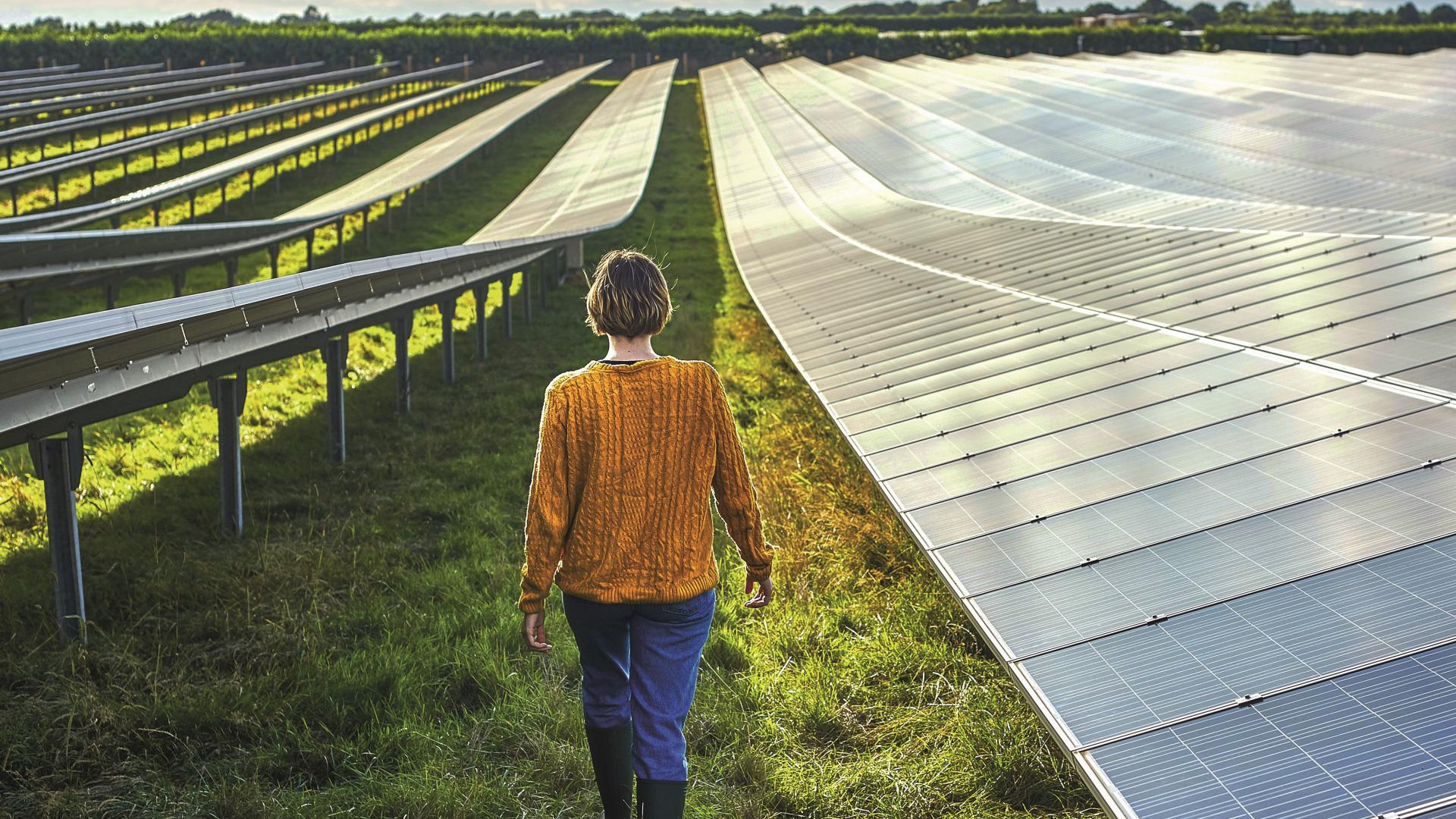 Solar panels in an agricultural field 