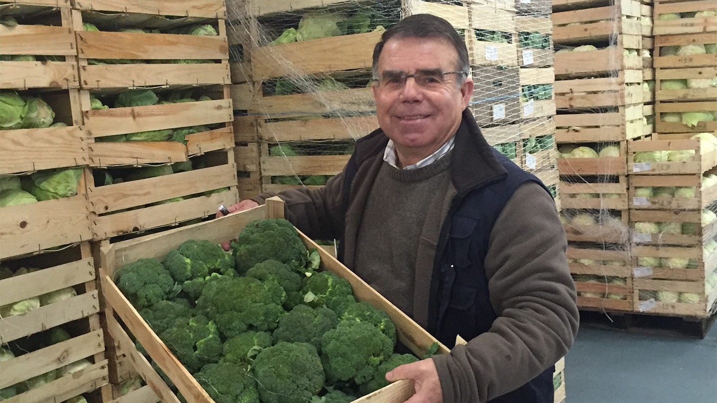 Banco de Alimentos de Madrid, Spain - man holidng a crate of broccoli