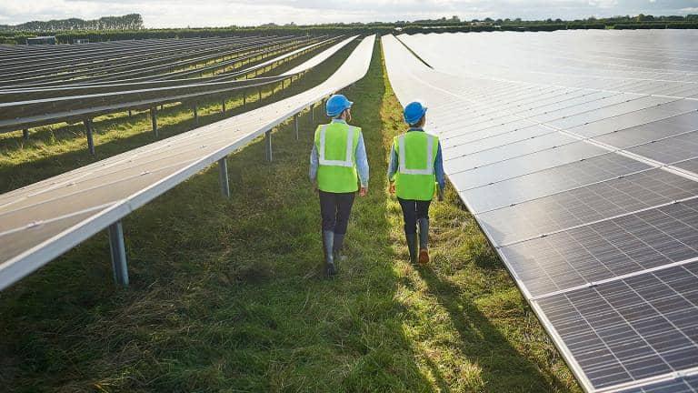 Men walking in solar panel field