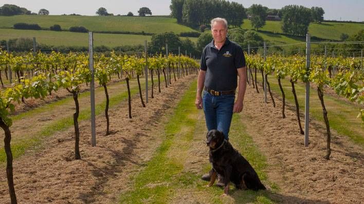 British winemaker Charles Palmer in vineyard