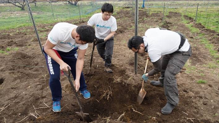 Volunteers laying trees in Tokyo 2