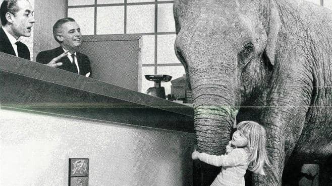 Rufus, an elephant who featured in a 1966 advert in which a young girl brings her very large pet with her to open a savings account
