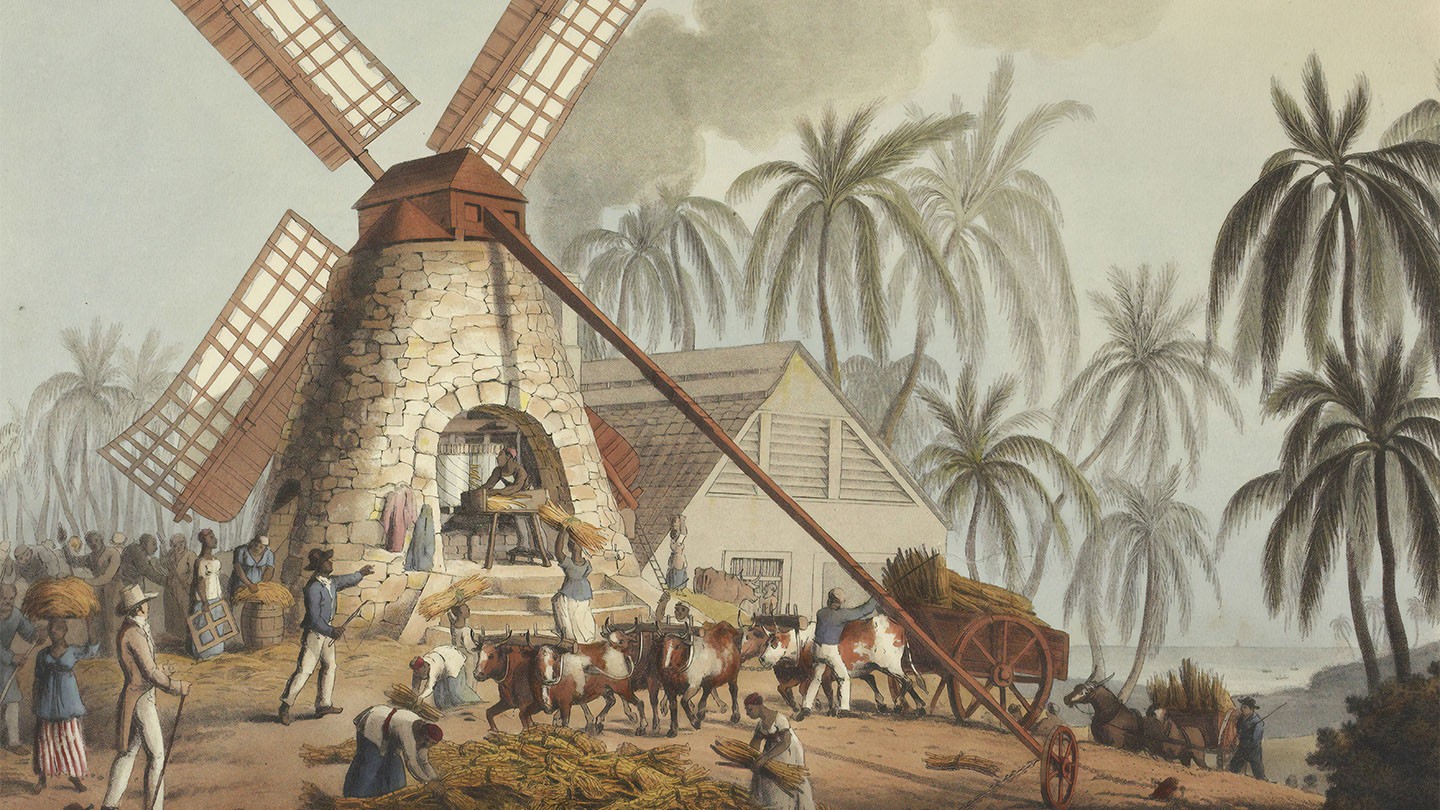 Enslaved people working in a sugar cane mill.