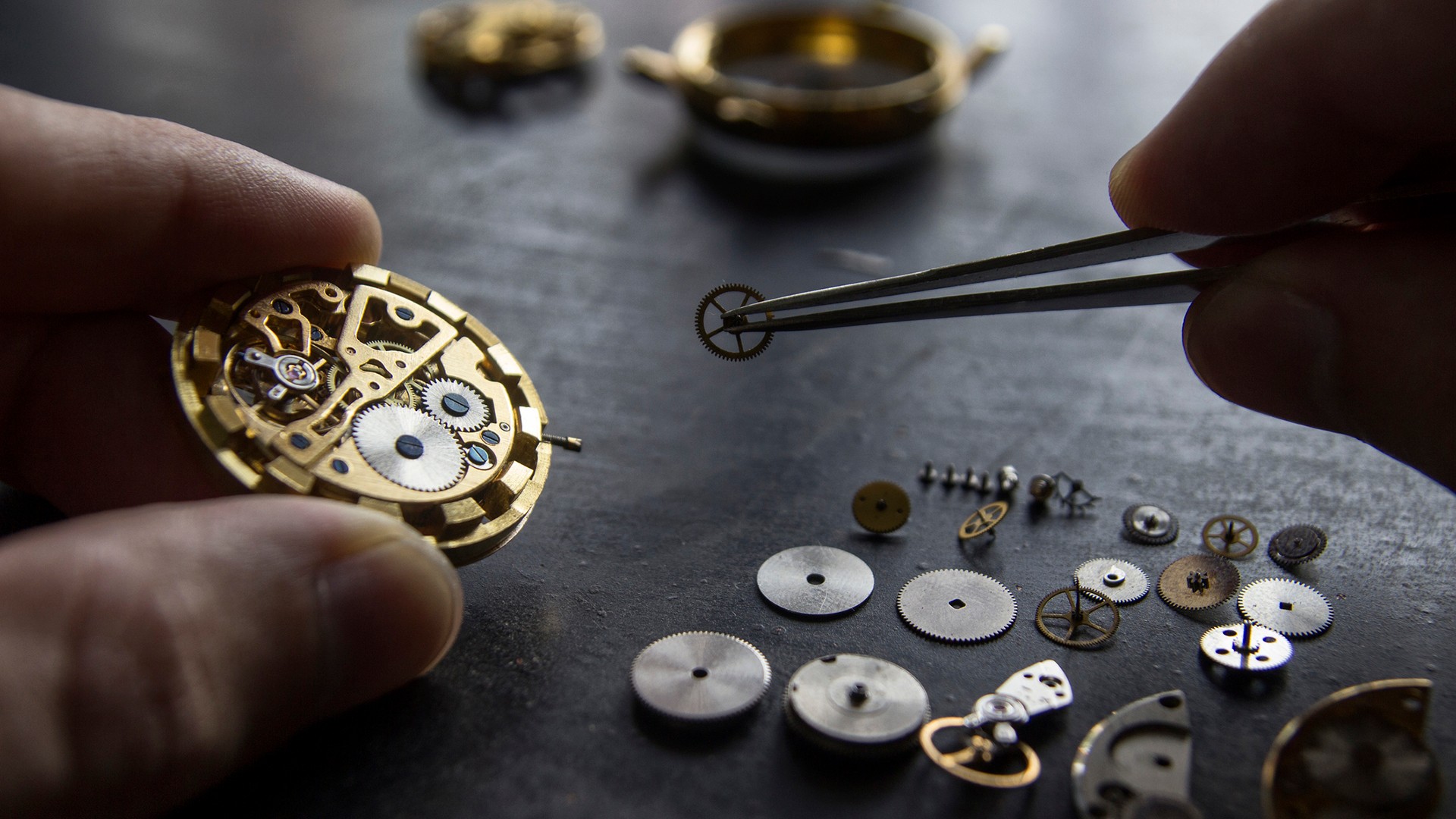 A watchmaker puts a watch together.