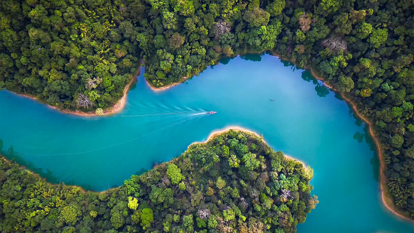 River surrounded by trees